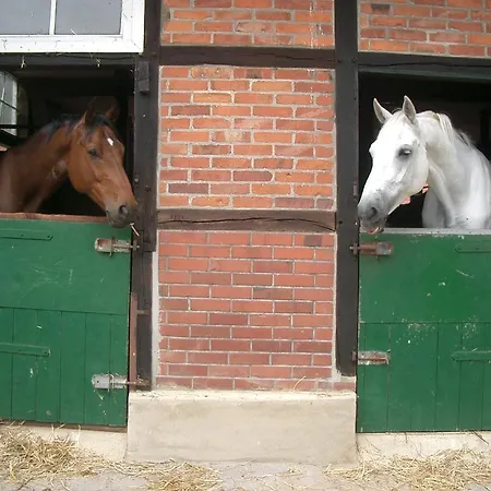 Hof Sudermuehlen Hotel Egestorf